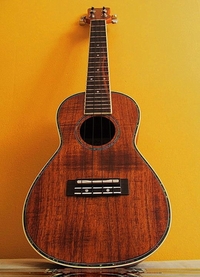 Pierwsze ukulele Mateusza