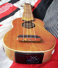 Grzegorz zrobił ukulele